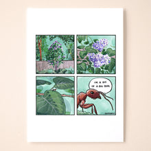 Load image into Gallery viewer, Antinomy
