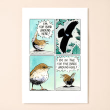 Load image into Gallery viewer, Top Bird
