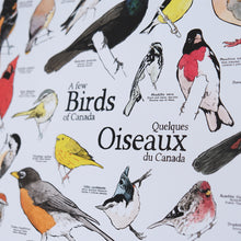 Load image into Gallery viewer, A Few Birds Of Canada