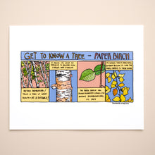 Load image into Gallery viewer, Get to know Paper Birch