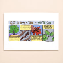 Load image into Gallery viewer, Get to know White Oak