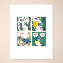 Load image into Gallery viewer, Seyalata americana
