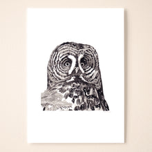 Load image into Gallery viewer, Great Grey Owl