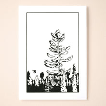 Load image into Gallery viewer, Morning Pine