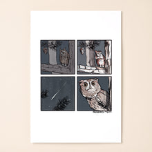 Load image into Gallery viewer, ...