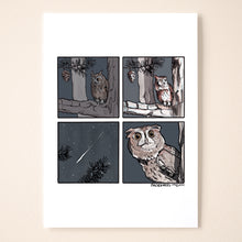Load image into Gallery viewer, ...