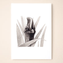 Load image into Gallery viewer, Cassowary