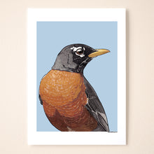 Load image into Gallery viewer, American Robin