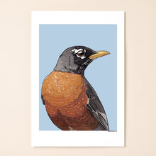 Load image into Gallery viewer, American Robin