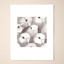 Load image into Gallery viewer, Parrotlet