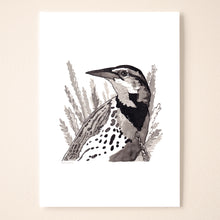 Load image into Gallery viewer, Western Meadowlark