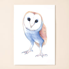 Load image into Gallery viewer, Barn Owl (In Crayon)