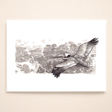 Load image into Gallery viewer, Pelican