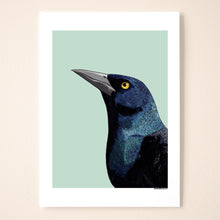 Load image into Gallery viewer, Common Grackle