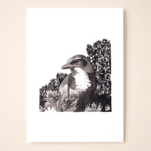 Load image into Gallery viewer, Scrub Jay