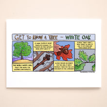 Load image into Gallery viewer, Get to know White Oak