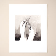 Load image into Gallery viewer, Gannet