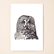 Load image into Gallery viewer, Great Grey Owl