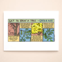Load image into Gallery viewer, Get to know Green Ash