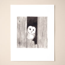 Load image into Gallery viewer, Barn Owl