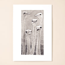 Load image into Gallery viewer, Ostrich