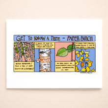 Load image into Gallery viewer, Get to know Paper Birch