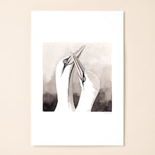 Load image into Gallery viewer, Gannet