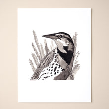 Load image into Gallery viewer, Western Meadowlark