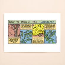 Load image into Gallery viewer, Get to know Green Ash