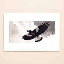 Load image into Gallery viewer, Australian Magpie