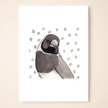 Load image into Gallery viewer, Gouldian Finch