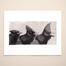 Load image into Gallery viewer, Steller's Jay