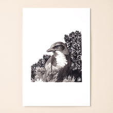 Load image into Gallery viewer, Scrub Jay
