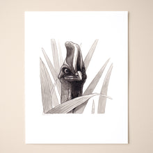 Load image into Gallery viewer, Cassowary