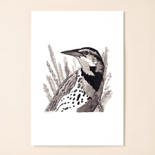 Load image into Gallery viewer, Western Meadowlark