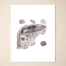 Load image into Gallery viewer, Tegu