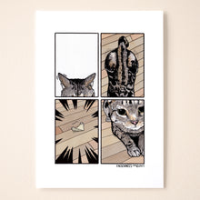 Load image into Gallery viewer, Caxi