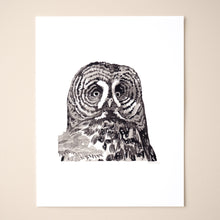 Load image into Gallery viewer, Great Grey Owl