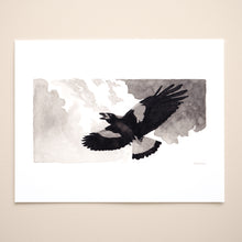 Load image into Gallery viewer, Australian Magpie