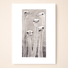 Load image into Gallery viewer, Ostrich
