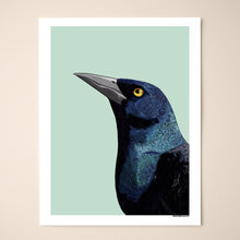 Load image into Gallery viewer, Common Grackle