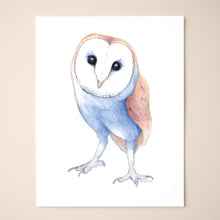 Load image into Gallery viewer, Barn Owl (In Crayon)
