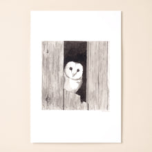 Load image into Gallery viewer, Barn Owl