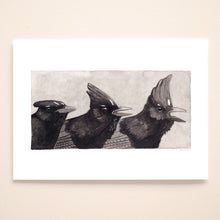 Load image into Gallery viewer, Steller's Jay