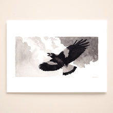 Load image into Gallery viewer, Australian Magpie