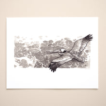 Load image into Gallery viewer, Pelican