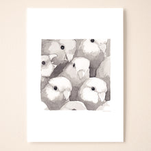 Load image into Gallery viewer, Parrotlet