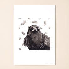 Load image into Gallery viewer, Crow