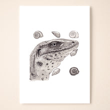Load image into Gallery viewer, Tegu