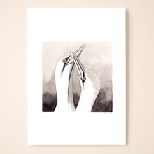 Load image into Gallery viewer, Gannet